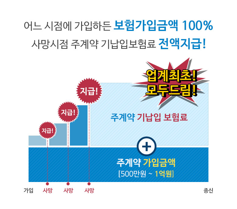 보험료 예시